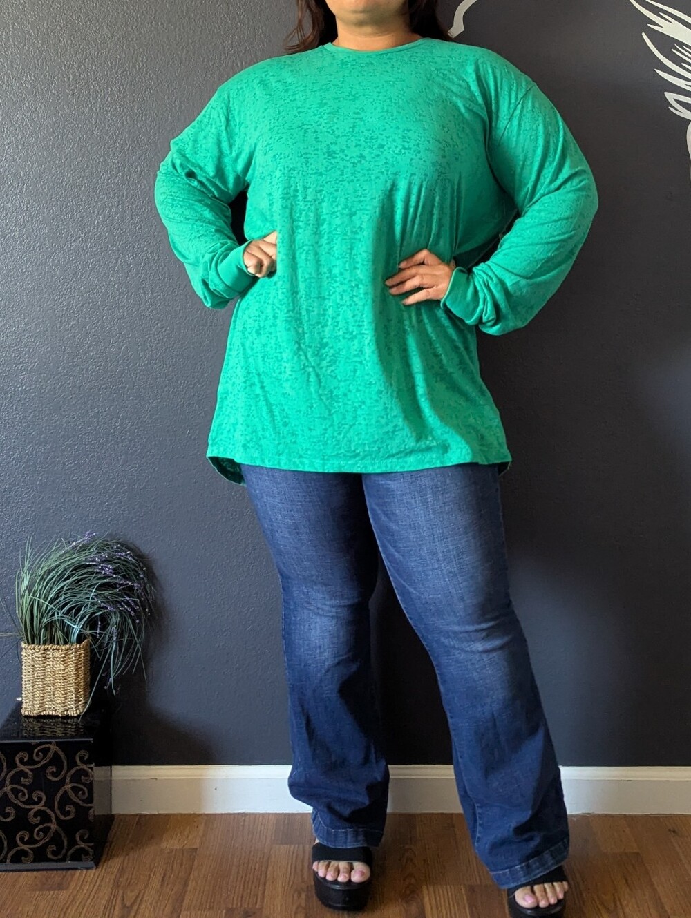 LulaRoe Hudson Long Sleeve Top
